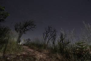 BIB: 
                            <button type="button" onclick="openModal(16050332)" class="btn btn-primary btn-sm float-right btn-popup" data-toggle="modal" data-target=".modal-high-quality">
                        <i class="fas fa-shopping-cart"></i> Add to Cart
                    </button>
                                            <button type="button" onclick="isThisMe(16050332, true)" class="btn btn-success btn-sm float-right btn-popup btn-isme hidden" data-toggle="tooltip" data-placement="bottom" title="นี่คือรูปของคุณใช่ไหม คลิกที่นี่เพื่อเอาเข้าอัลบั้ม">
                        <i class="fas fa-plus"></i> Add to album
                    </button>
                    <button type="button" onclick="isThisMe(16050332, false)" class="btn btn-warning btn-sm float-right btn-popup btn-isnotme hidden">
                        <i class="fas fa-ban"></i> Remove from album
                    </button>